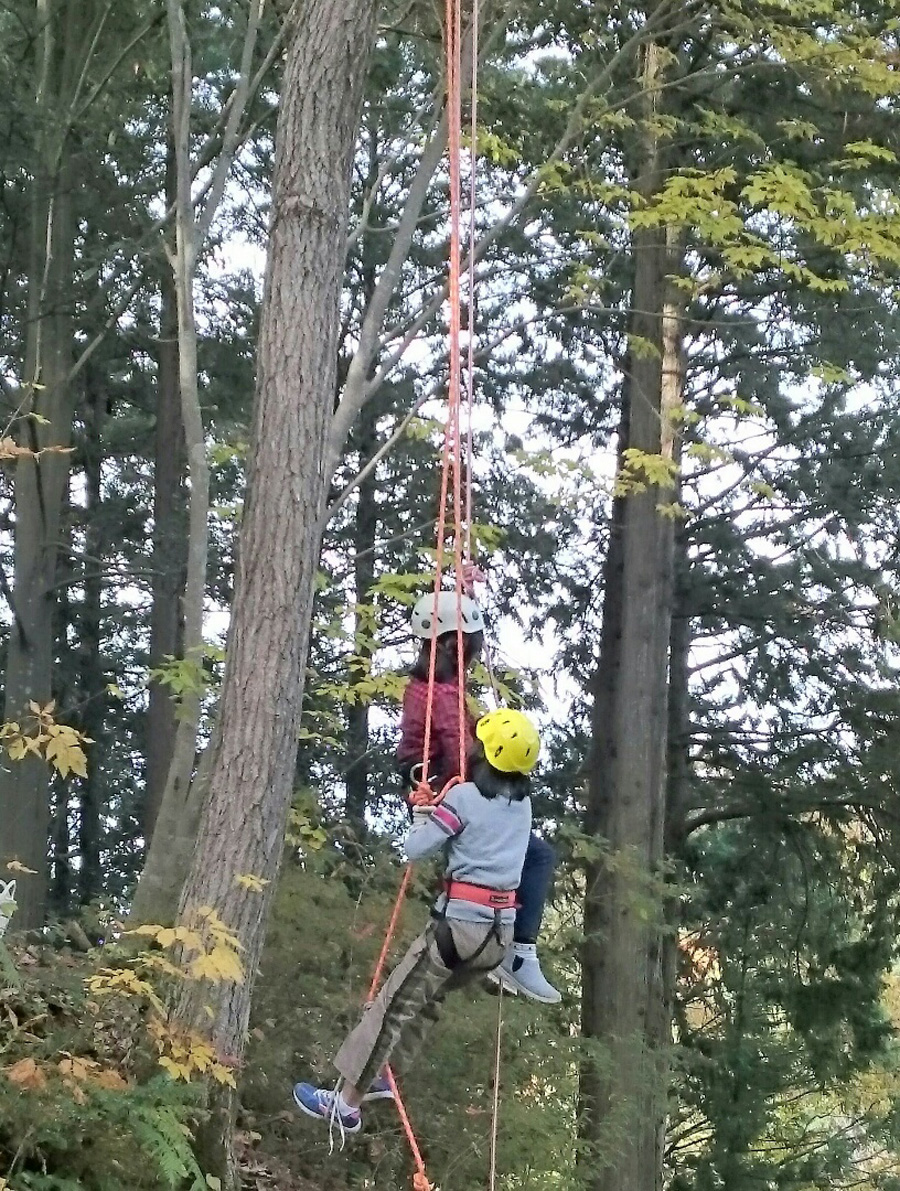 �؏`�Ƃ��͂�i���C���h�N�b�L���O�j