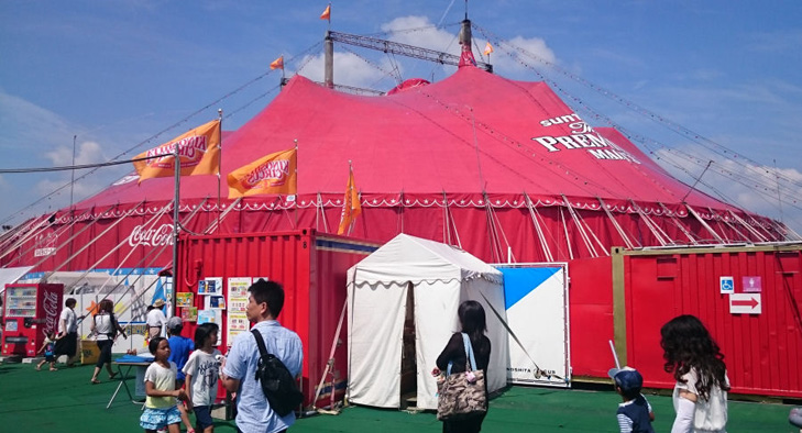 �؉��T�[�J�X